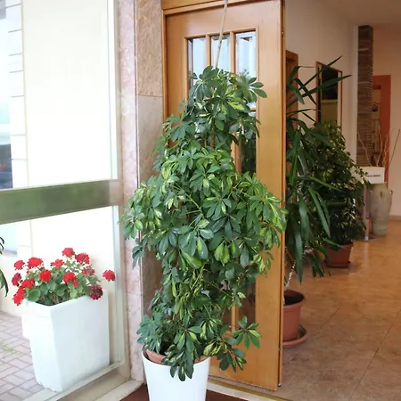 Buenos Aires 3* Cervia